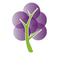 The Grape Tree