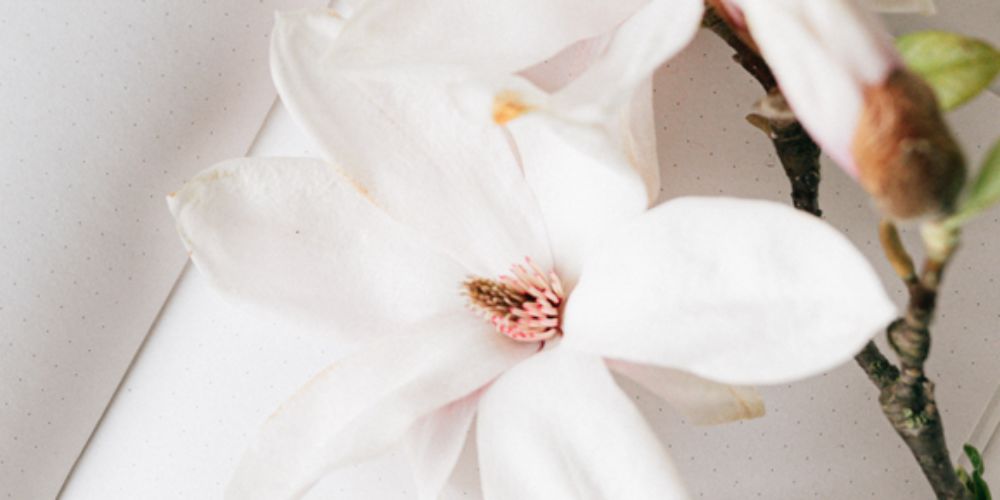 Co-op Funeralcare, Loughborough